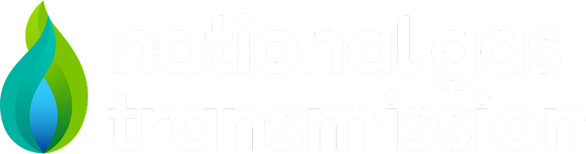 Project 2 Logo